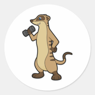 Pegatina Redonda Meerkat en entrenamiento de fuerza con Dumbbell