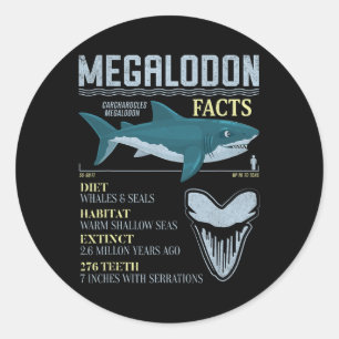 Pegatina Redonda Megalodon Hechos Meg Fósil De Dientes De Tiburón P