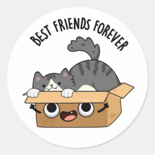 Pegatina Redonda Mejor Amigos Para Siempre Gracioso Cat Y Box Pun