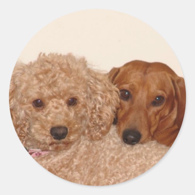 Pegatina Redonda Mejores brotes (Anverso)