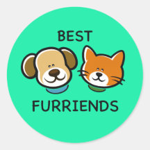 Mejores Furriends – Perro y Gato Adorables 