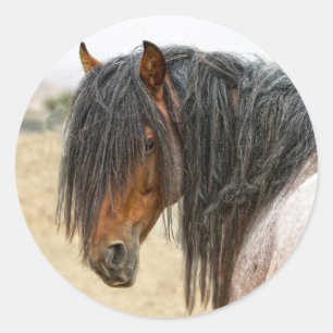 Pegatina Redonda Melena del caballo