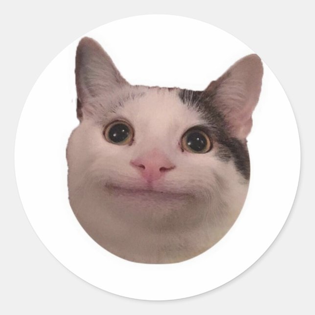 Pegatina Redonda meme de gato divertido (Anverso)