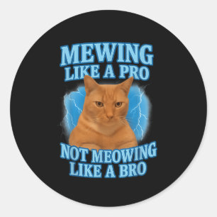 Pegatina Redonda Meme de gato divertido masticando no sé qué