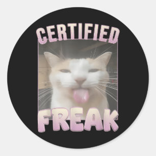 Pegatina Redonda Meme de gato falso certificado Memes ofensivos Gra