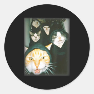 Pegatina Redonda Meme de la pandilla de gatos Divertidos Gatos Caót