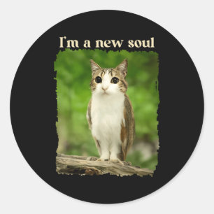 Pegatina Redonda Meme divertido de Meowl, Meme de gato búho Brainro