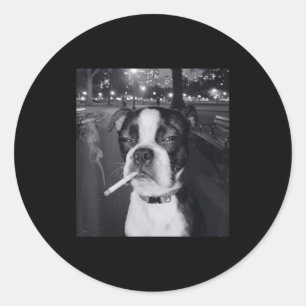 Pegatina Redonda Meme Divertido de Perro Fumando Cigarrillo Meme Pe