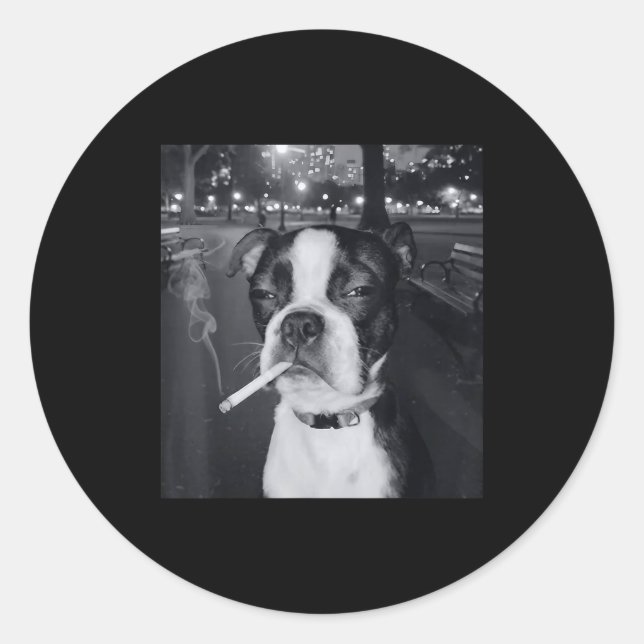 Pegatina Redonda Meme Divertido de Perro Fumando Cigarrillo Meme Pe (Anverso)