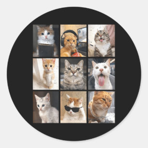 Pegatina Redonda Memes Divertidos Antiguos Gato Lindo Hombres Mujer