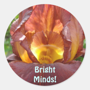 Pegatina Redonda ¡Mentes Brillantes! imanes Flor de Iris Glowing Es