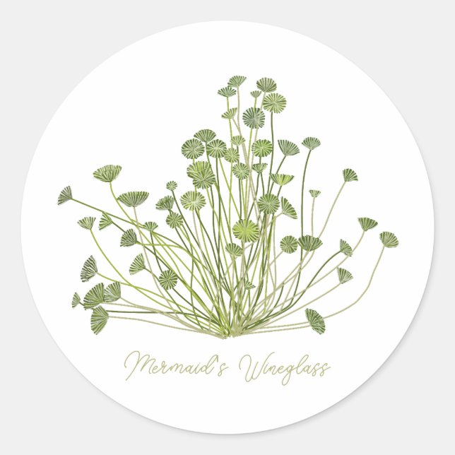 Pegatina Redonda Mermaids Wineglass & Acetabularia Sea-Inspired  (Anverso)