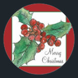 Pegatina Redonda Merry Christmas Holly Berries Planta Arte Botánico<br><div class="desc">Bonito y Navidades festivos pegatina de vacaciones decorado con una mezcla de bayas rojas huecas y maduras dibujadas con tinta negra y acuarela acentuada con un marco blanco y verde con un fondo rojo de vacaciones.</div>