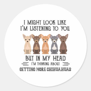 Pegatina Redonda Mi cabeza está pensando en conseguir más Chihuahua
