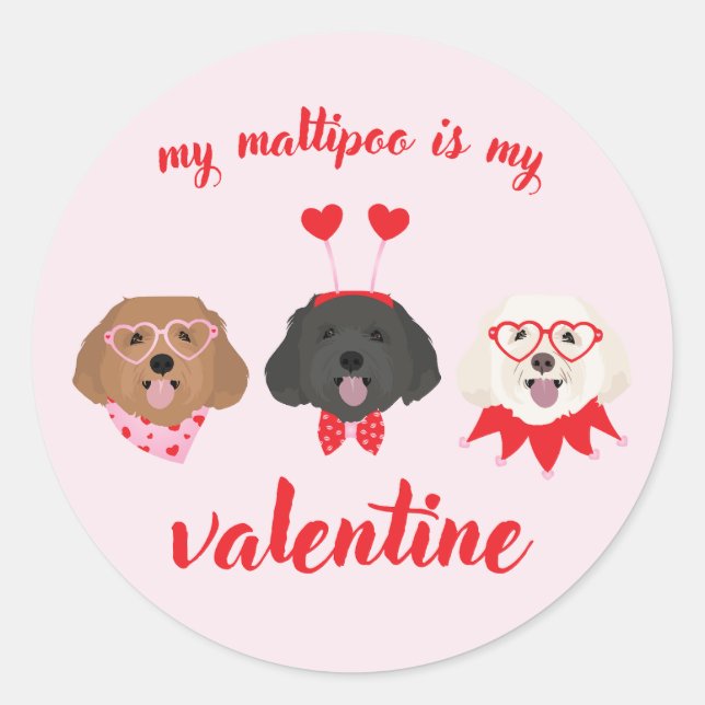 Pegatina Redonda Mi Maltipoo Es Mi Valentín (Anverso)