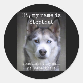 Pegatina Redonda Mi nombre es Stopthat Funny Hyper Siberian