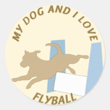 Mi perro y yo amamos el baloncesto