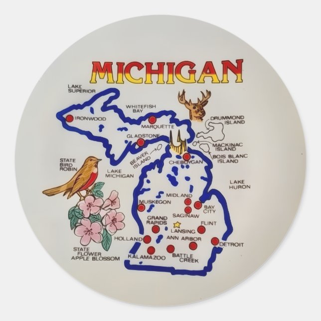 Pegatina Redonda Michigan State  (Anverso)