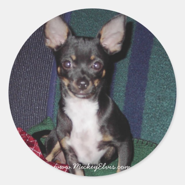 Pegatina Redonda Mickey Elvis lindo y adorable (Anverso)