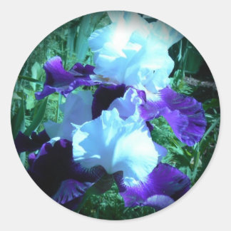 Pegatina Redonda Midnight Moonlight Iris