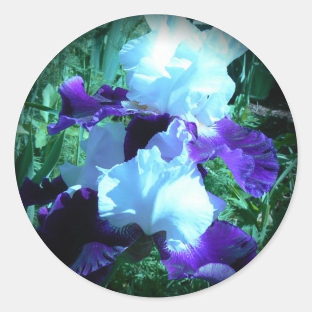 Pegatina Redonda Midnight Moonlight Iris (Anverso)