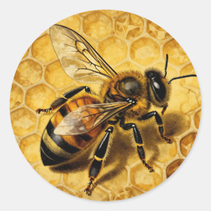 Pegatina Redonda Miel de abeja Panal Dorado Naturaleza 