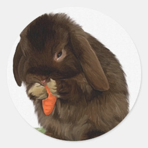 Pegatina Redonda Mini conejito y zanahoria del Lop