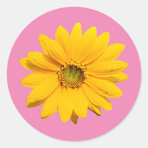 Pegatina Redonda Mini girasol amarillo - Flor de girasol bebé peque