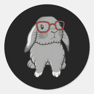Pegatina Redonda Mini Holland Lop Conejo Conejo Pascua