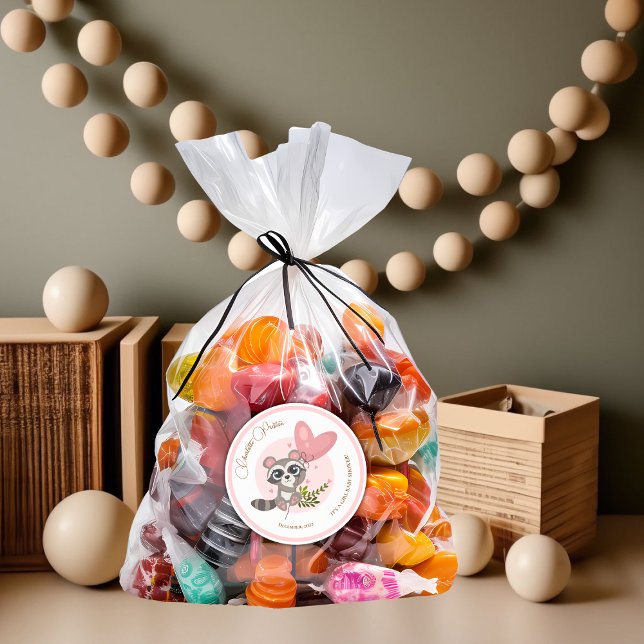 Pegatina Redonda Minimalista Raccoon Baby Shower (Minimalist Cute Raccoon Baby Shower Classic Round Sticker)