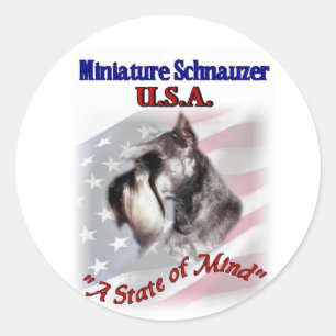 Pegatina Redonda Ministra Schnauzer Estados Unidos
