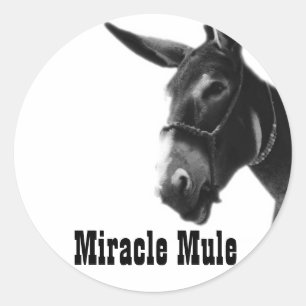 Pegatina Redonda Miracle Mule Pegatinas