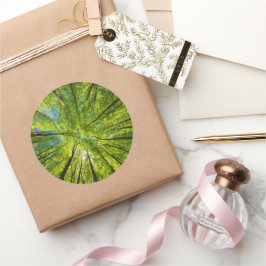 Pegatina Redonda Mirando a través de hojas de árboles verdes