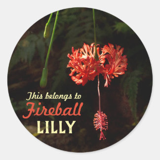 Pegatina Redonda Mis cosas con linterna japonesa