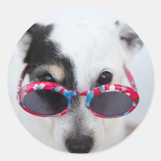 Pegatina Redonda Moderno cree su propia foto Personalizado (Anverso)