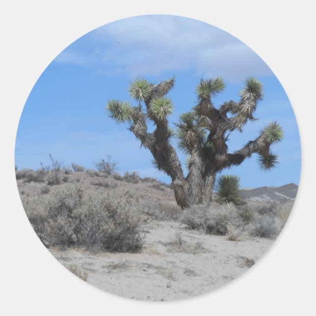 Pegatina Redonda Mojave Desert Joshua Tree (Anverso)