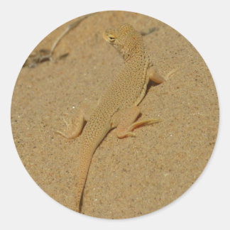 Pegatina Redonda Mojave Lizard