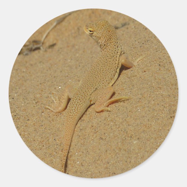 Pegatina Redonda Mojave Lizard (Anverso)