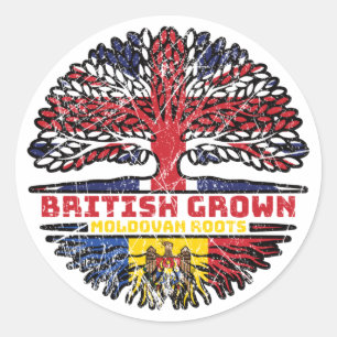 Pegatina Redonda Moldavia Moldavia Reino Unido Árbol británico