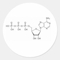 Molécula del ATP