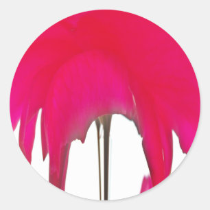 Pegatina Redonda Momento capturado: Elegancia de Petal de Rosa Roja