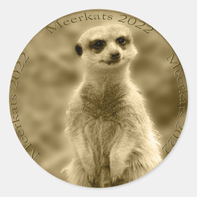 Pegatina Redonda Moneda de Golden Meerkat 2022, Pegatinas redondos (Anverso)
