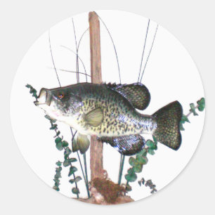 Pegatina Redonda Montaje de Crappie