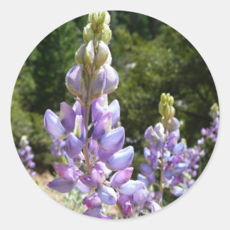 Pegatina Redonda Montaña Lupins en Yosemite