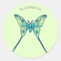 Moon Moth Magic - Butterfly Lover Art