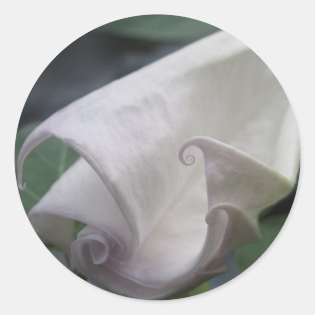 Pegatina Redonda Moonflor (Anverso)