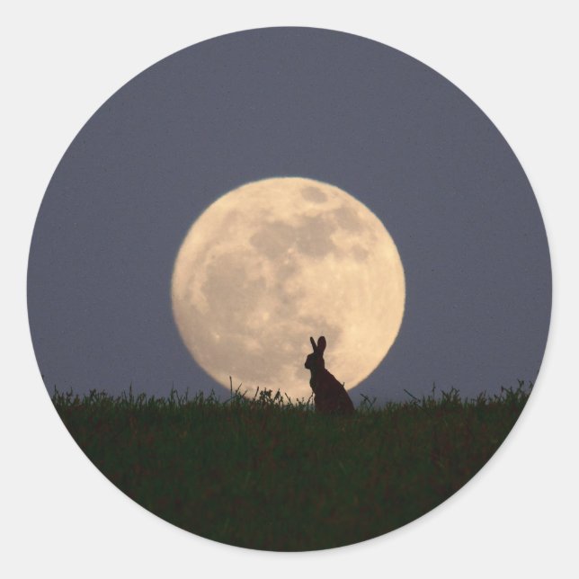 Pegatina Redonda Moongazer.JPG (Anverso)