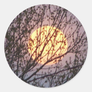 Pegatina Redonda moontree