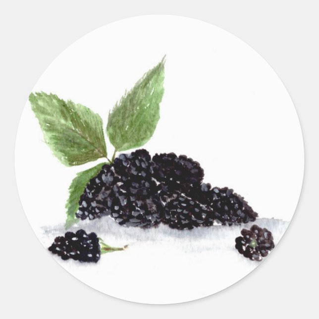 Pegatina Redonda Moras frutas acuarela bayas comida (Anverso)