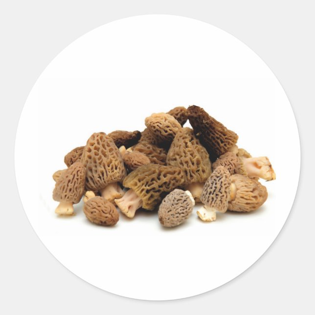 Pegatina Redonda Morel Mushroom (Anverso)